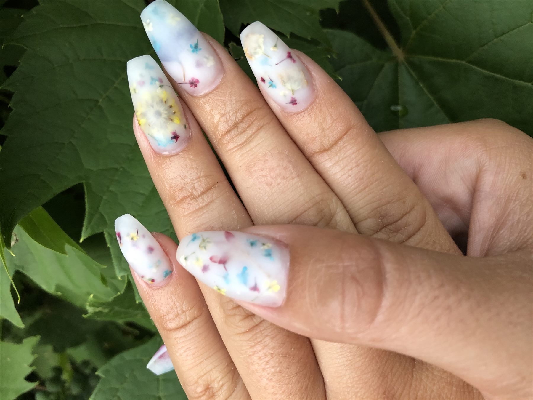 Pressed Flower Nails